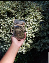 Load image into Gallery viewer, Cancer Be Gone Tea