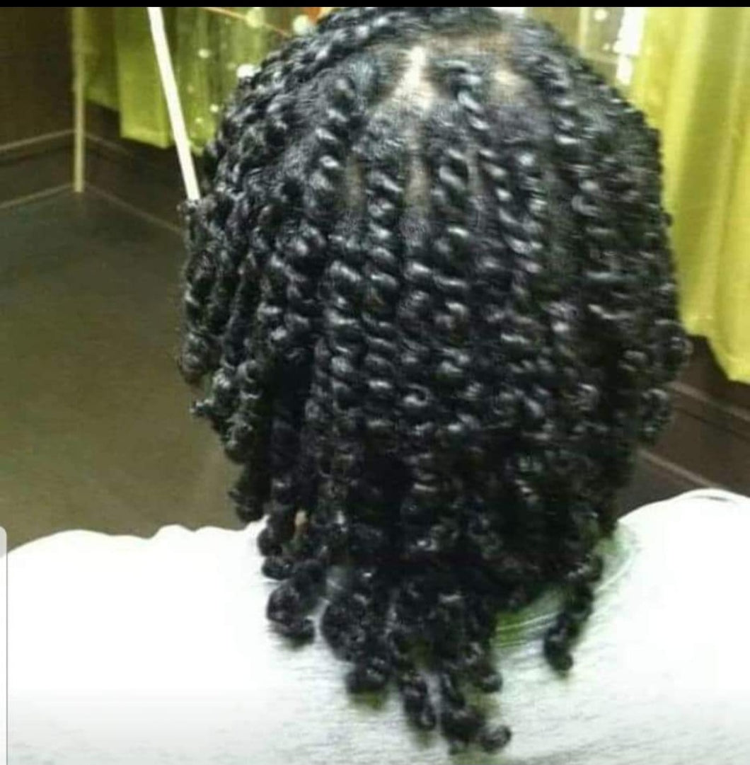 Protective Hair Style With Trim & Hydration therapy. The protective style is $95 and the trim is $20 extra. A deposit must be paid on all appointments. No refunds.