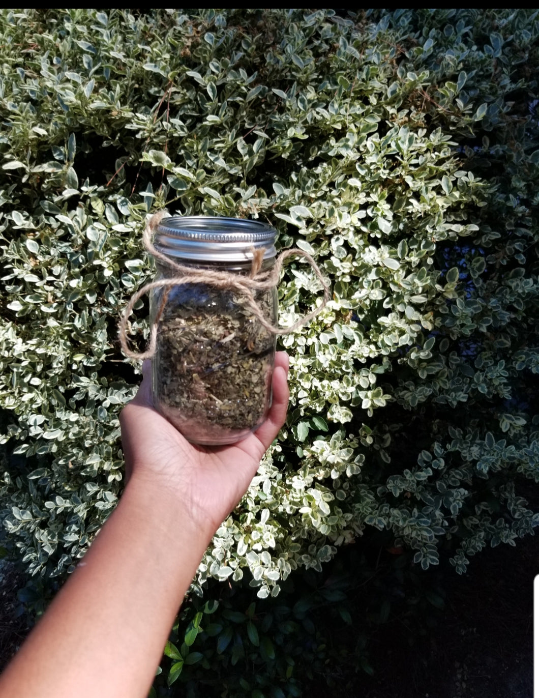 Cancer Be Gone Tea